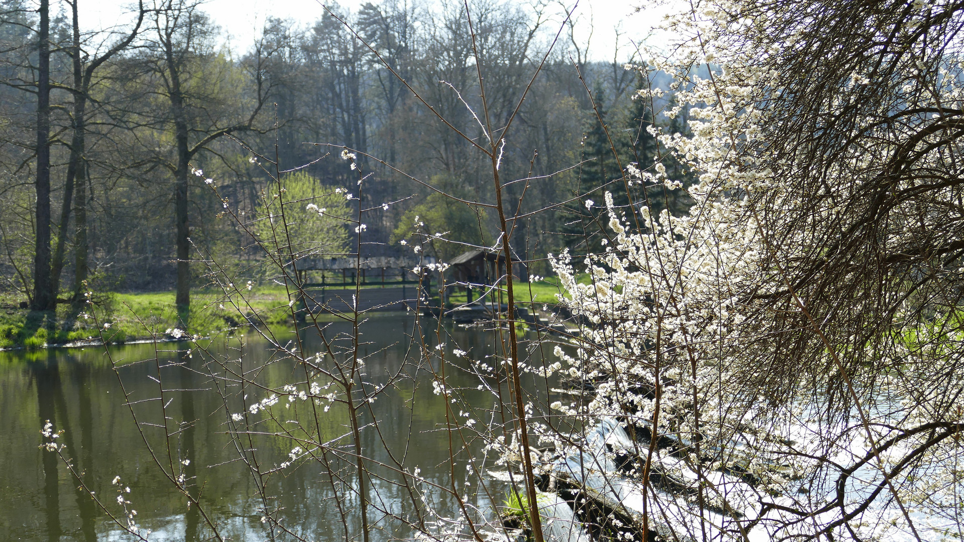 Im Tal der weißen Elster