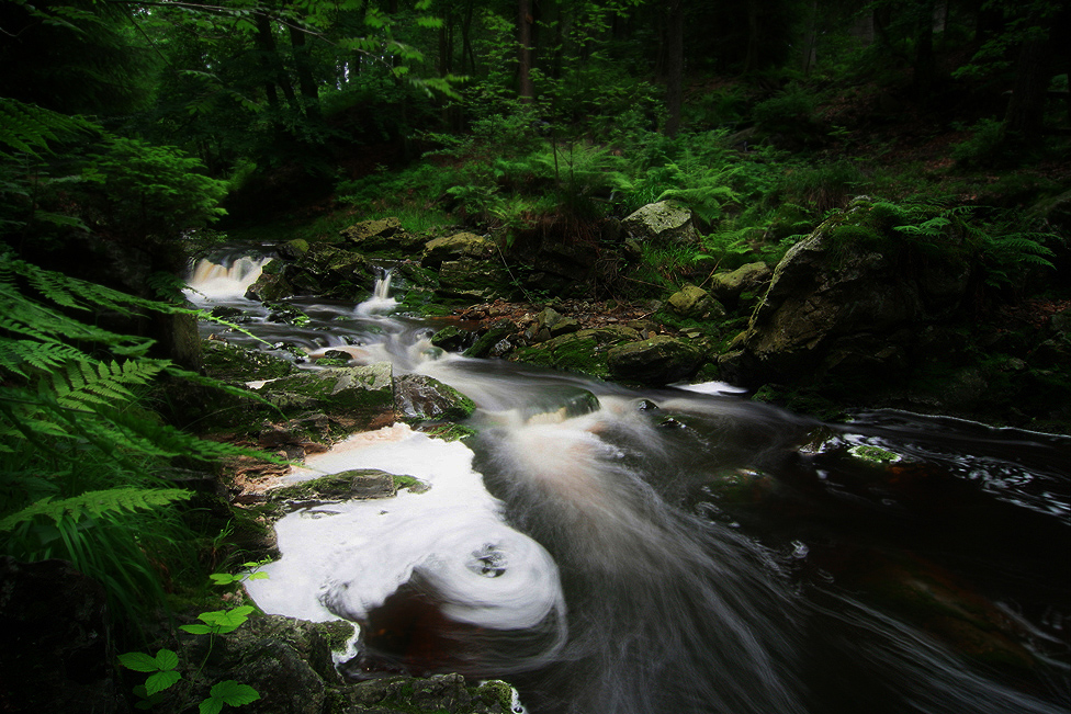 Im Tal der wildromantischen Hoegne I