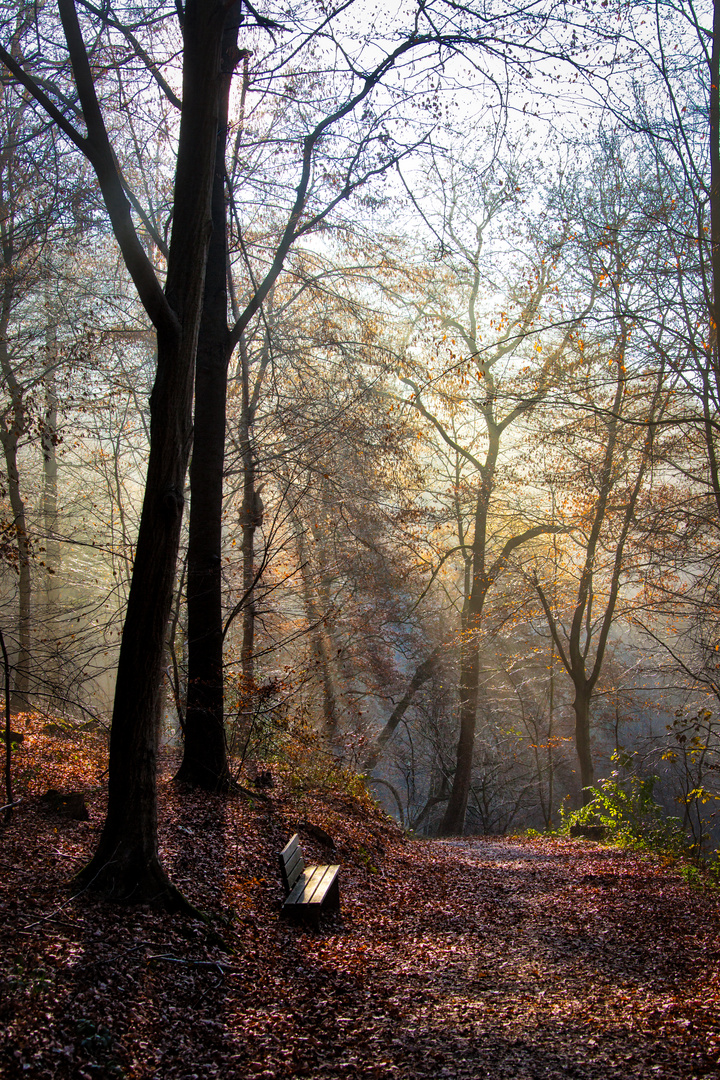 Im Tal der Wupper zwischen Müngsten u Burg_2878