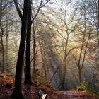 Im Tal der Wupper zwischen Müngsten u Burg_2878