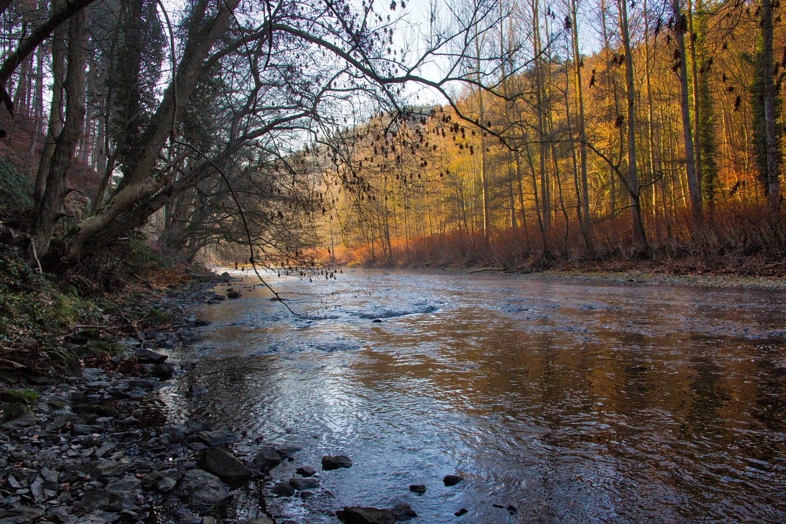 Im Tal der Wupper_2884