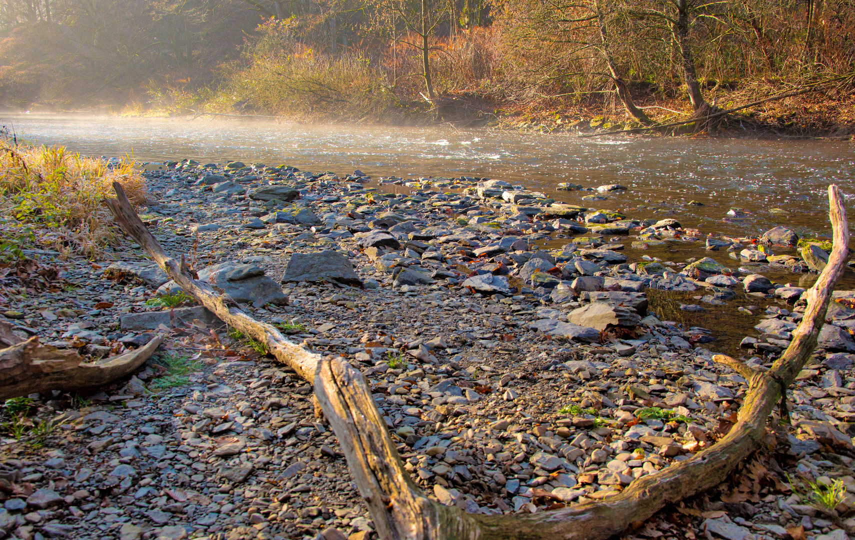 Im Tal der Wupper_2885