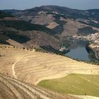 Im Tal des Douro