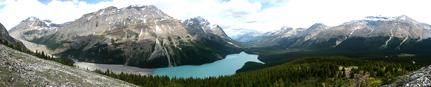 Im Tal des Peyto Lake