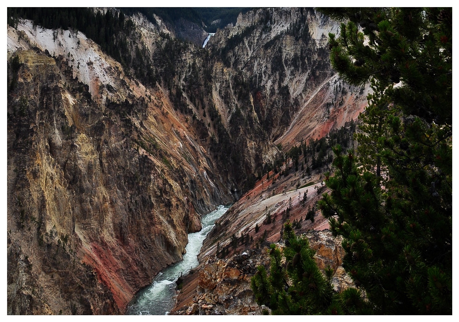 Im Tal des Yellowstone Rivers