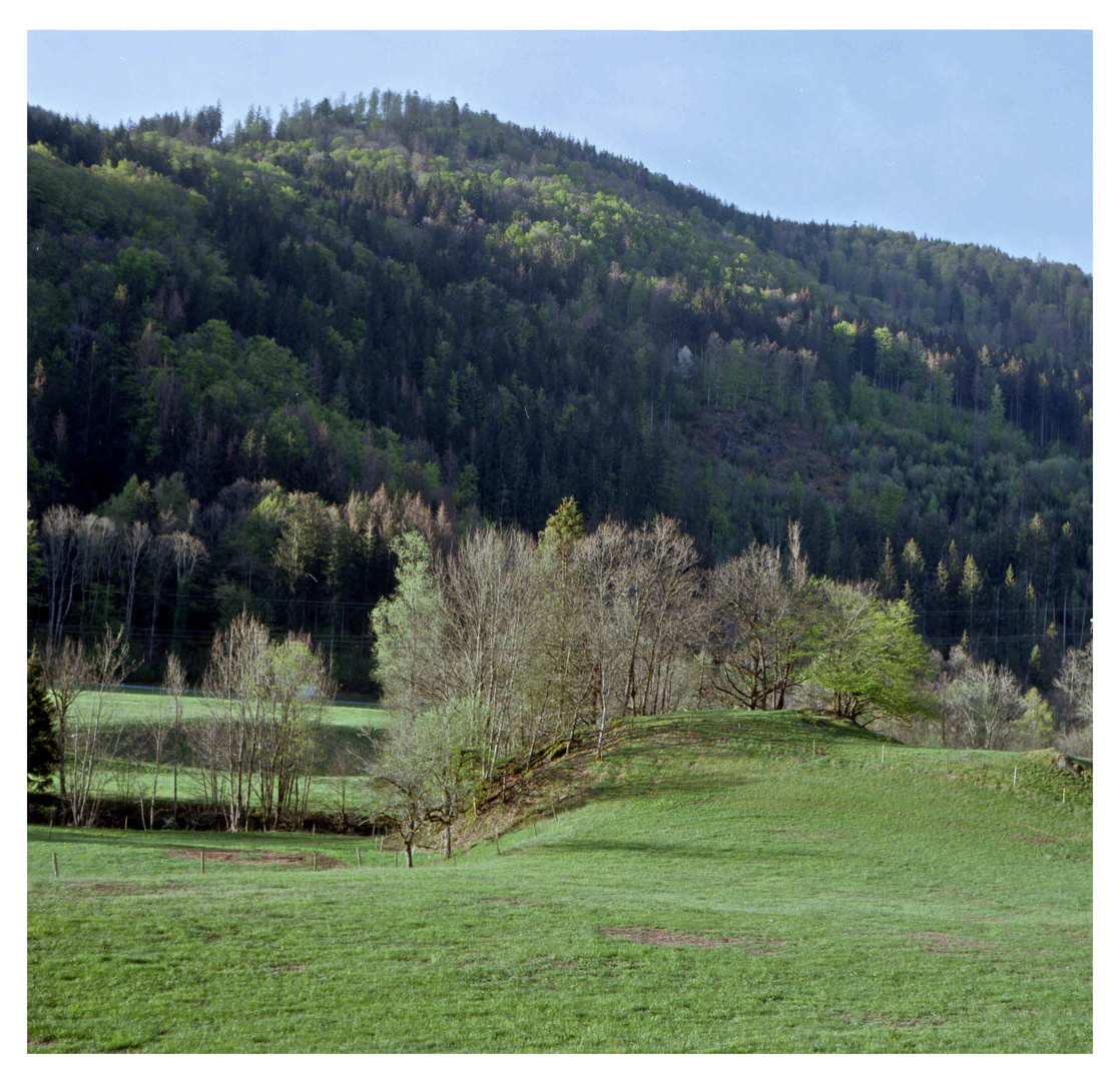 Im Tal die ersten Sonnenstrahlen