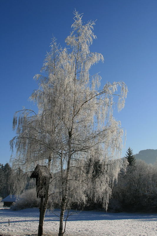 Im Tal um die Zugspitze ind es Winter, wie lange wird das nur anhalten...