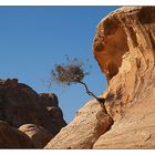 Im Tal von Petra