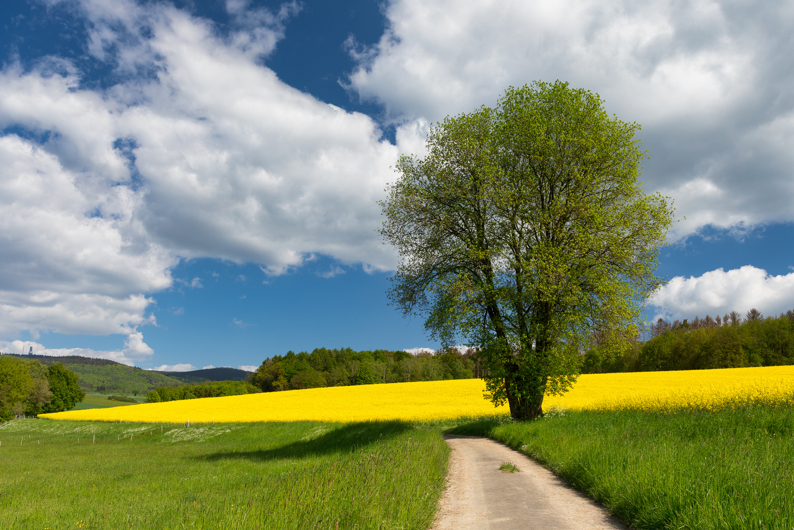 Im Taunus