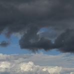 Im Taunus: Der Himmel über dem Tannenkopf 10