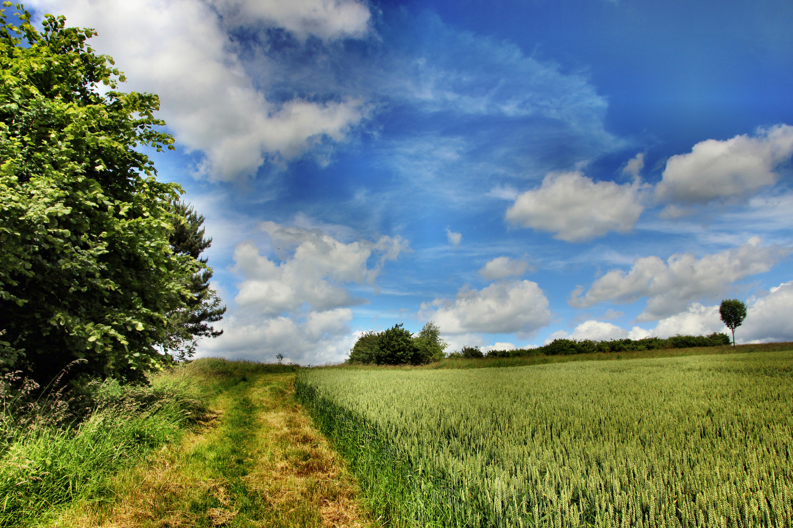 im Taunus