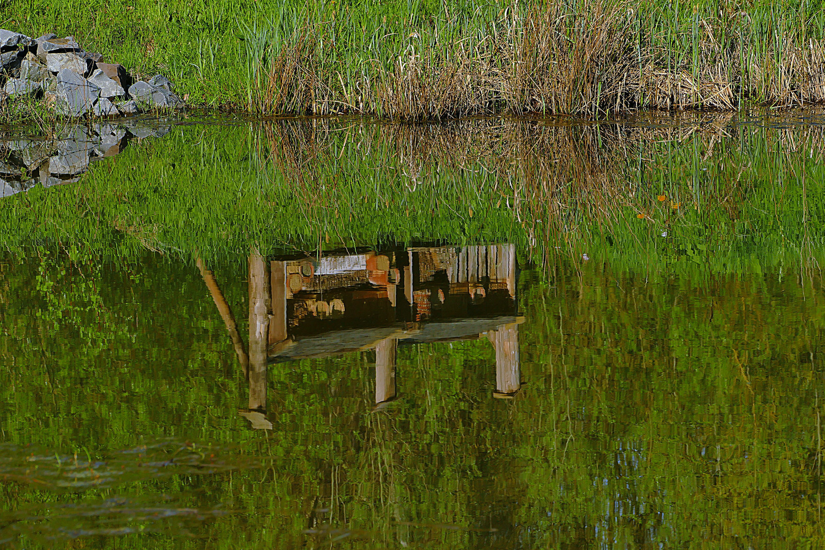 im Teich spiegelt sich alles wider