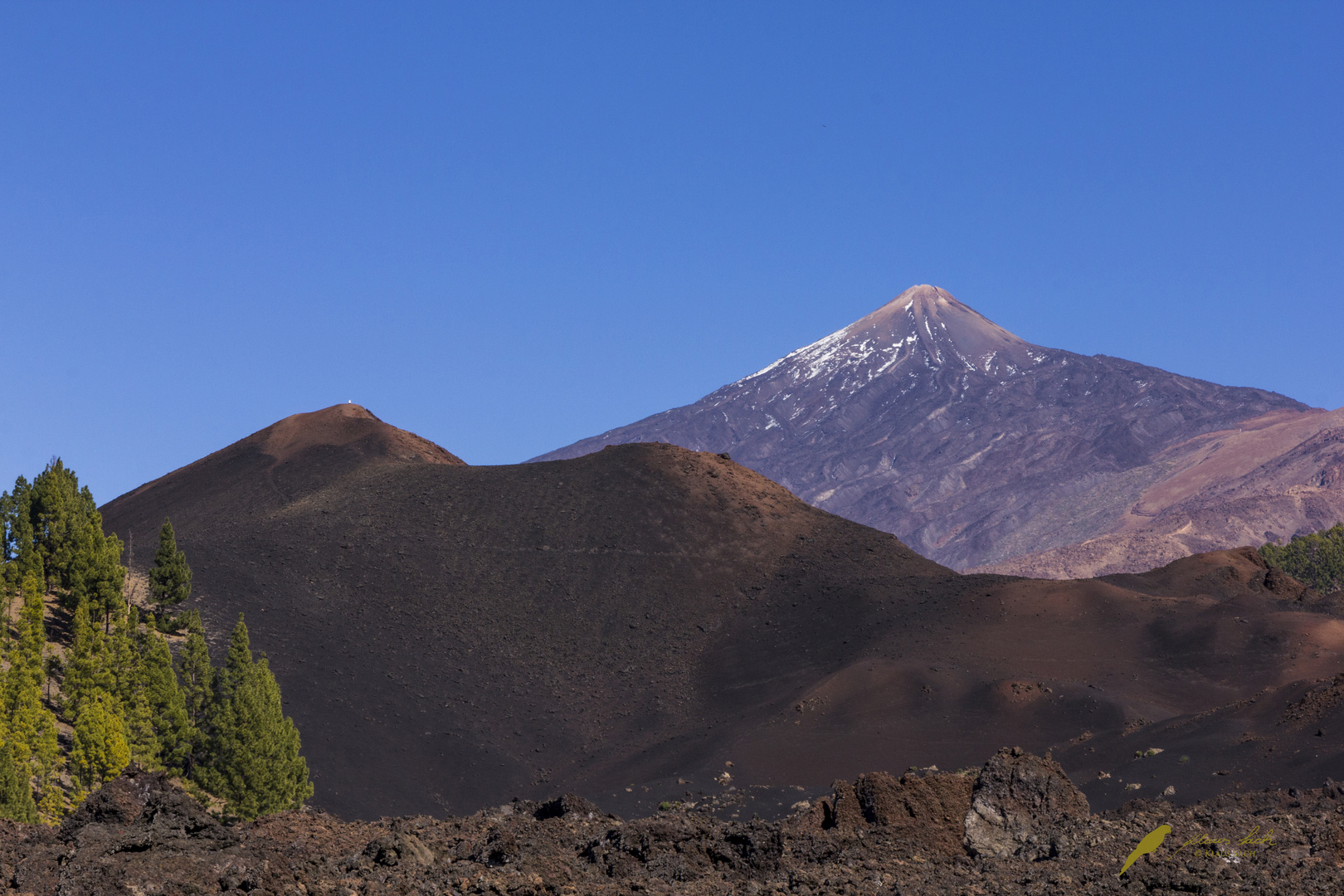 Im Teide National Park auf Teneriffa