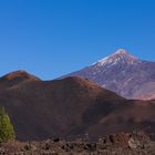 Im Teide National Park auf Teneriffa