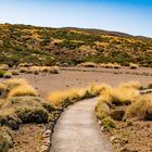 Im Teide Nationalpark auf Wanderung