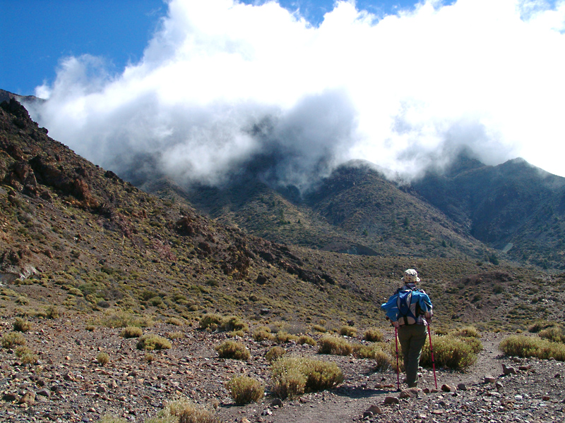 Im Teide Nationalpark