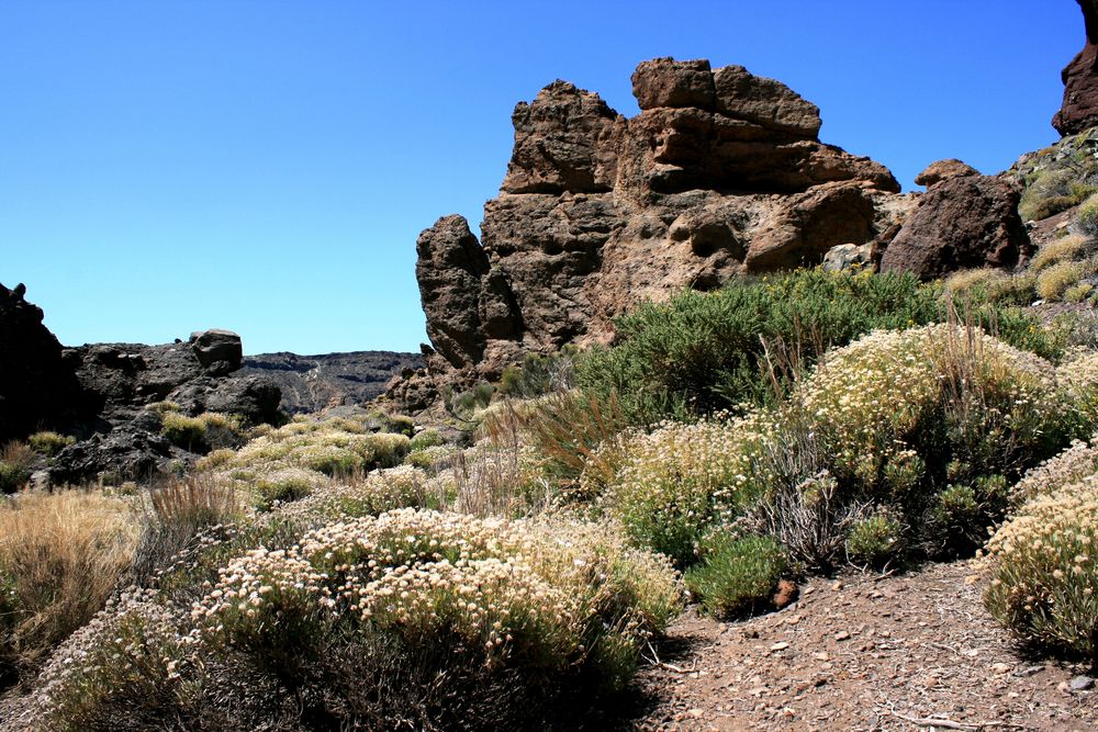 Im Teide-Nationalpark in der Nähe der Los Roques