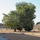 Im Tempel von Edfu