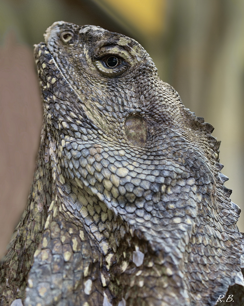 Im Terrazoo Rheinberg