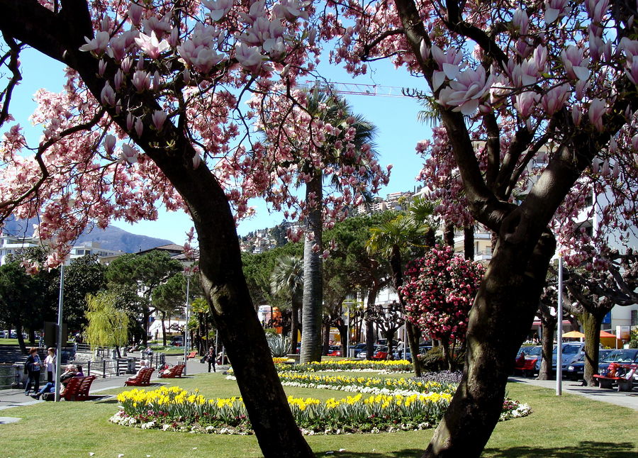 Im Tessin mitten im Frühling..03