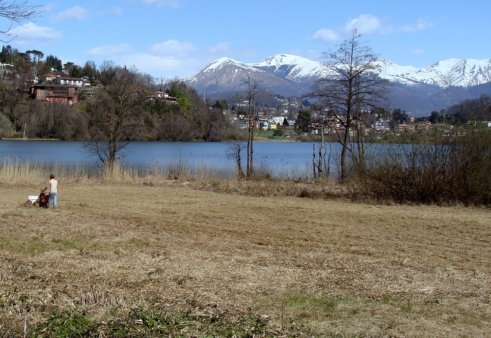 Im Tessin mitten im Frühling..04