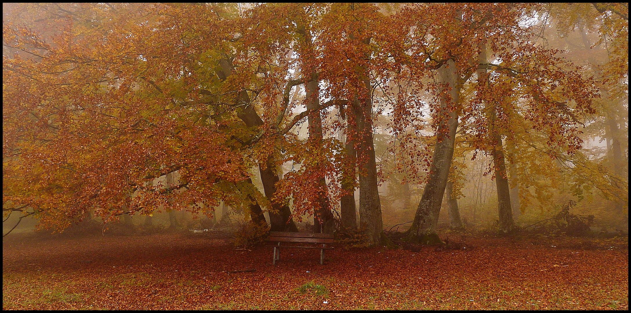 Im Teufelsgarten