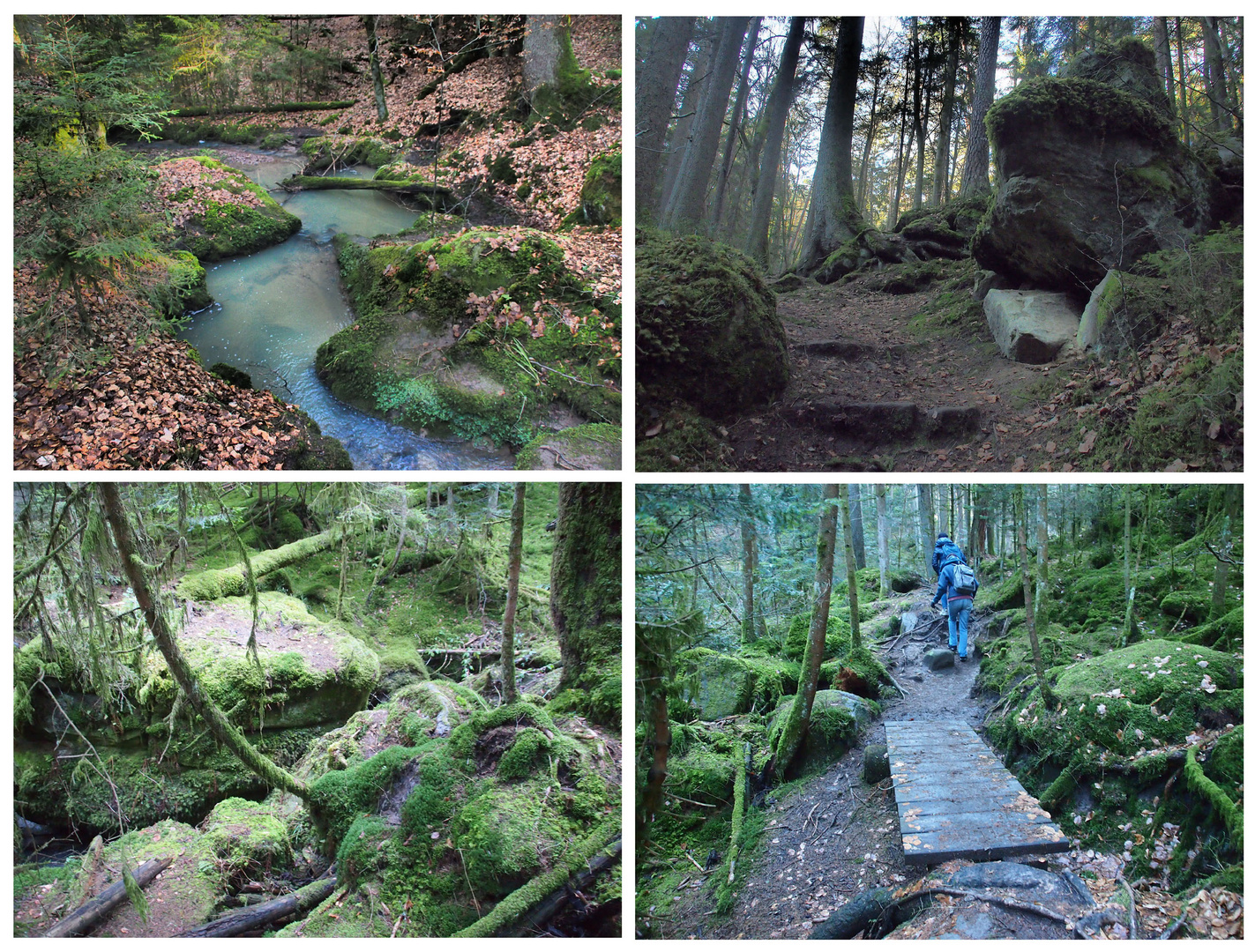 Im Teufelsgraben bei Eckersdorf