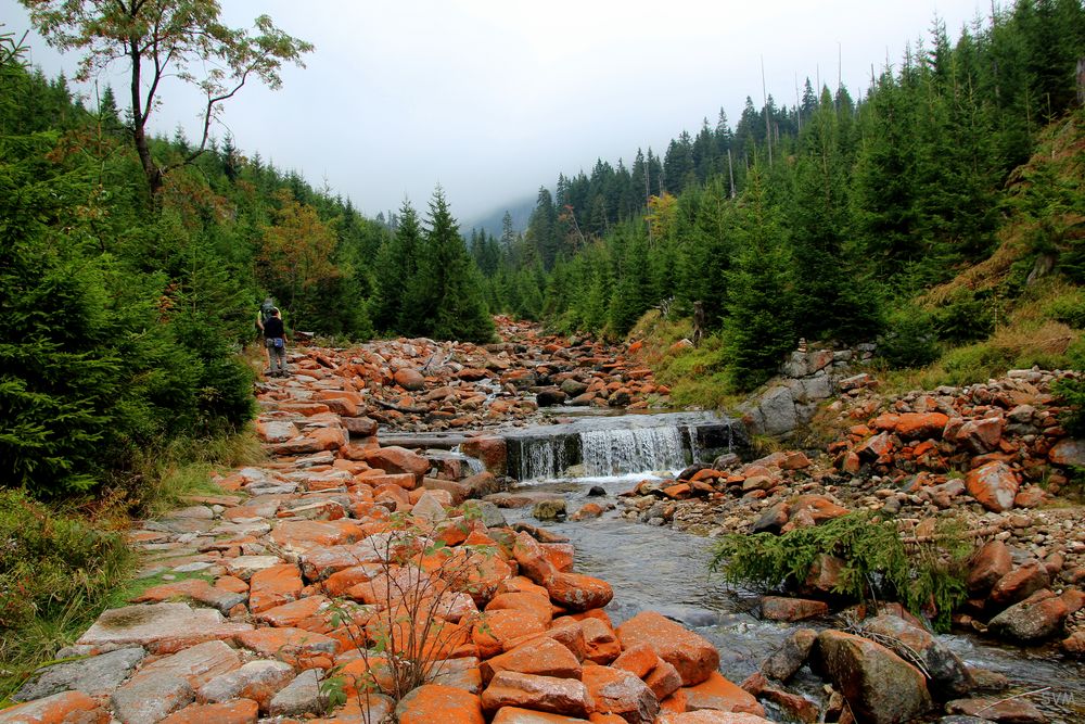 Im Teufelstal ( ein Nebental des Weißwassers - Bile Labe) in der Nähe von Spindleruv mlyn