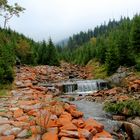 Im Teufelstal ( ein Nebental des Weißwassers - Bile Labe) in der Nähe von Spindleruv mlyn