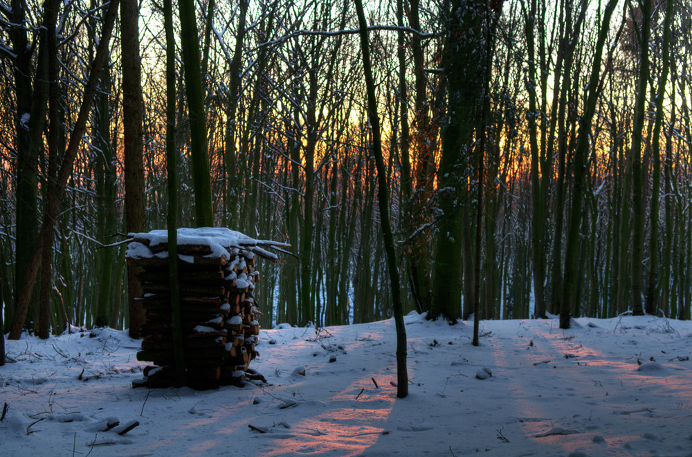 Im Teutoburger Wald