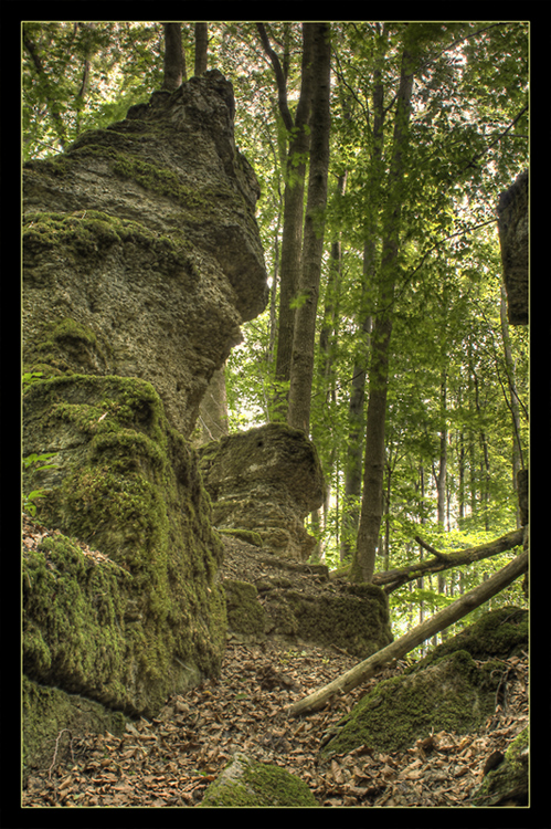 im thüringer wald, da essen sie noch hunde...