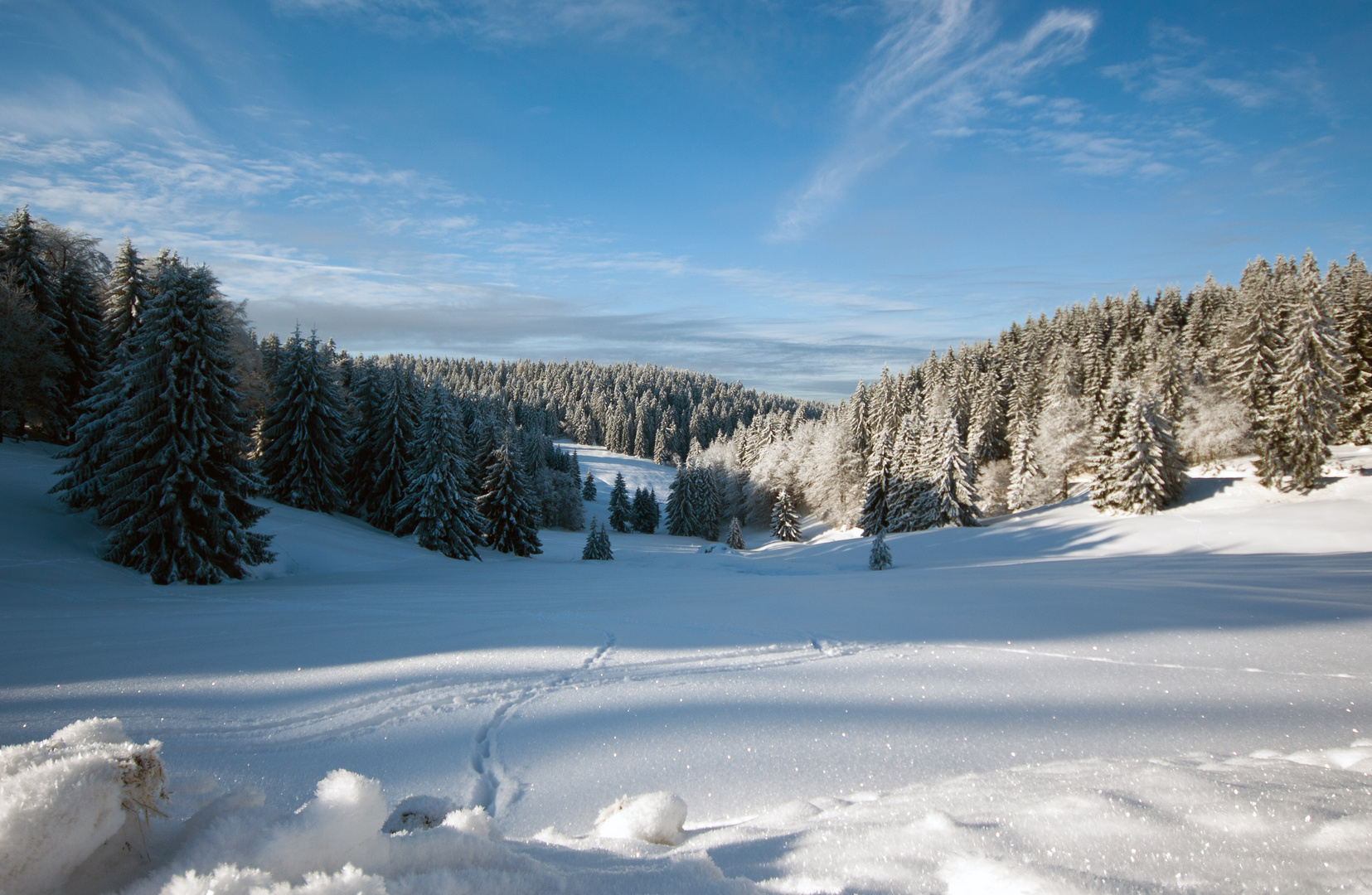 Im Thüringer Wald, Winter 2011