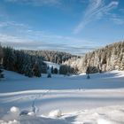 Im Thüringer Wald, Winter 2011