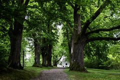 Im tiefen Bayrischen Wald