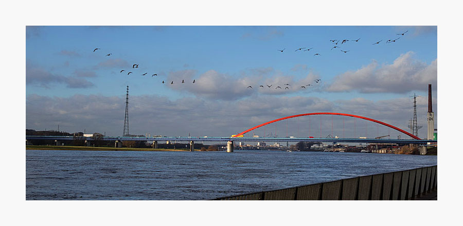 Im Tiefflug über den Rhein