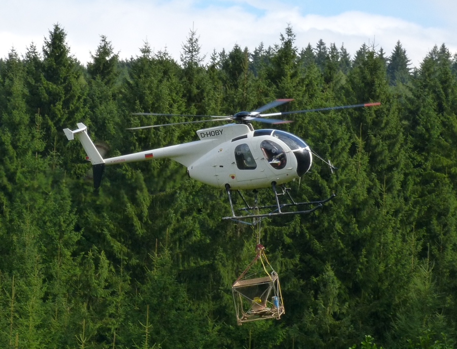 Im Tiefflug über die Wälder