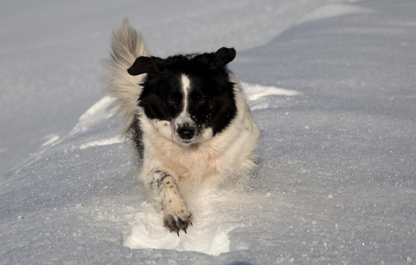 Im Tiefschnee