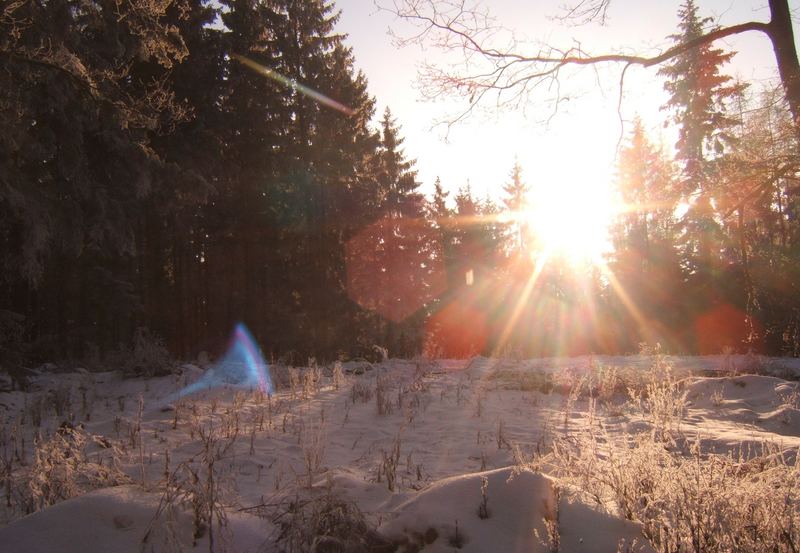 Im tiefsten Walde zur Winterzei...