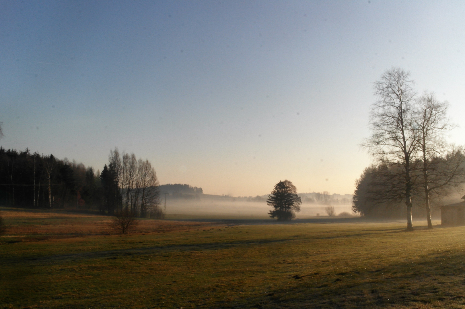 Im tiefsten Wiesengrunde