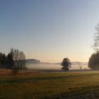 Im tiefsten Wiesengrunde