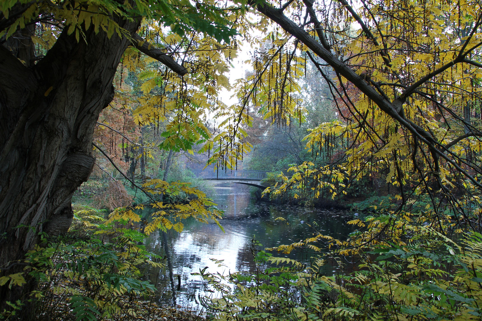 im Tiergarten