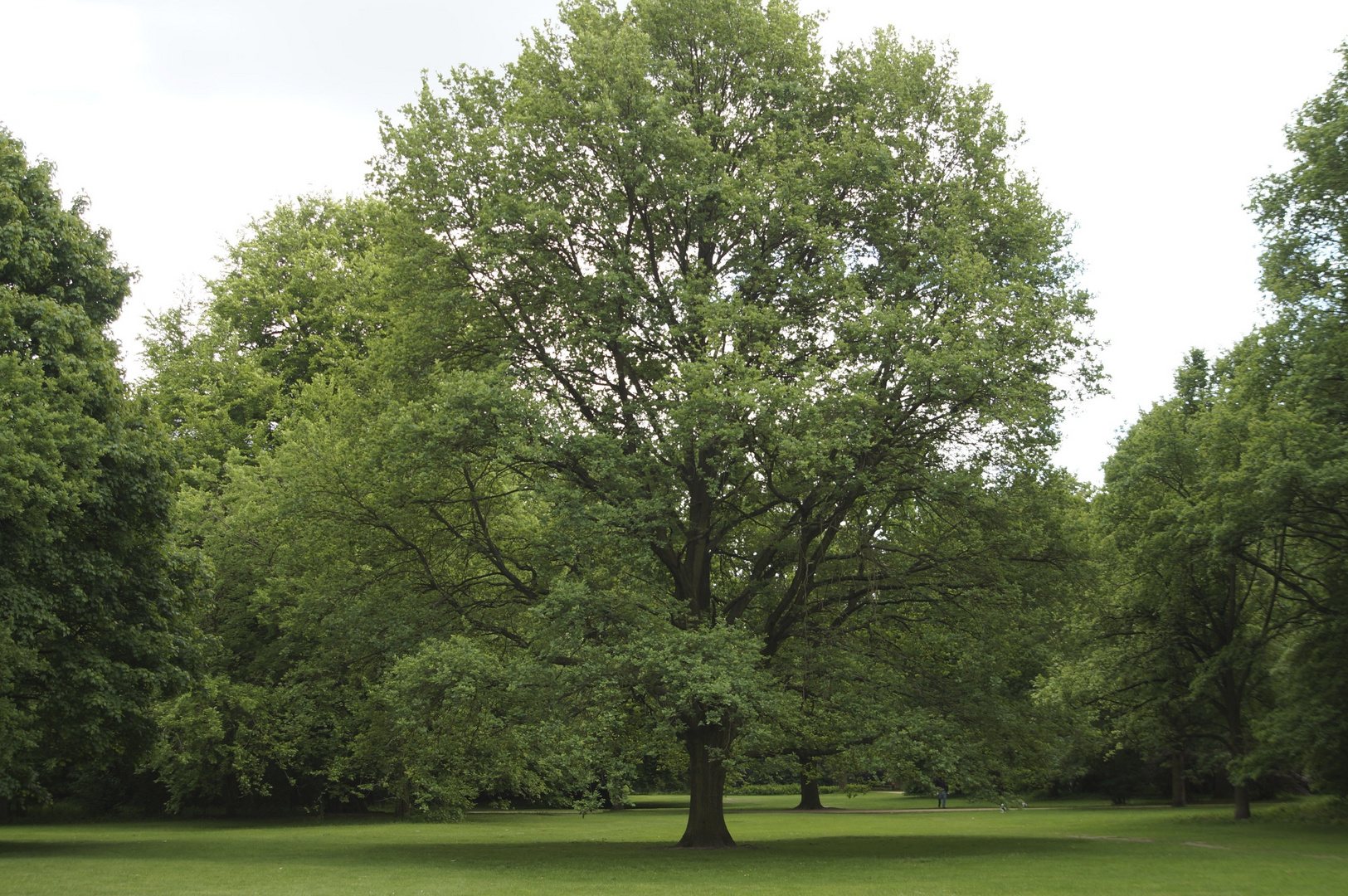 Im Tiergarten