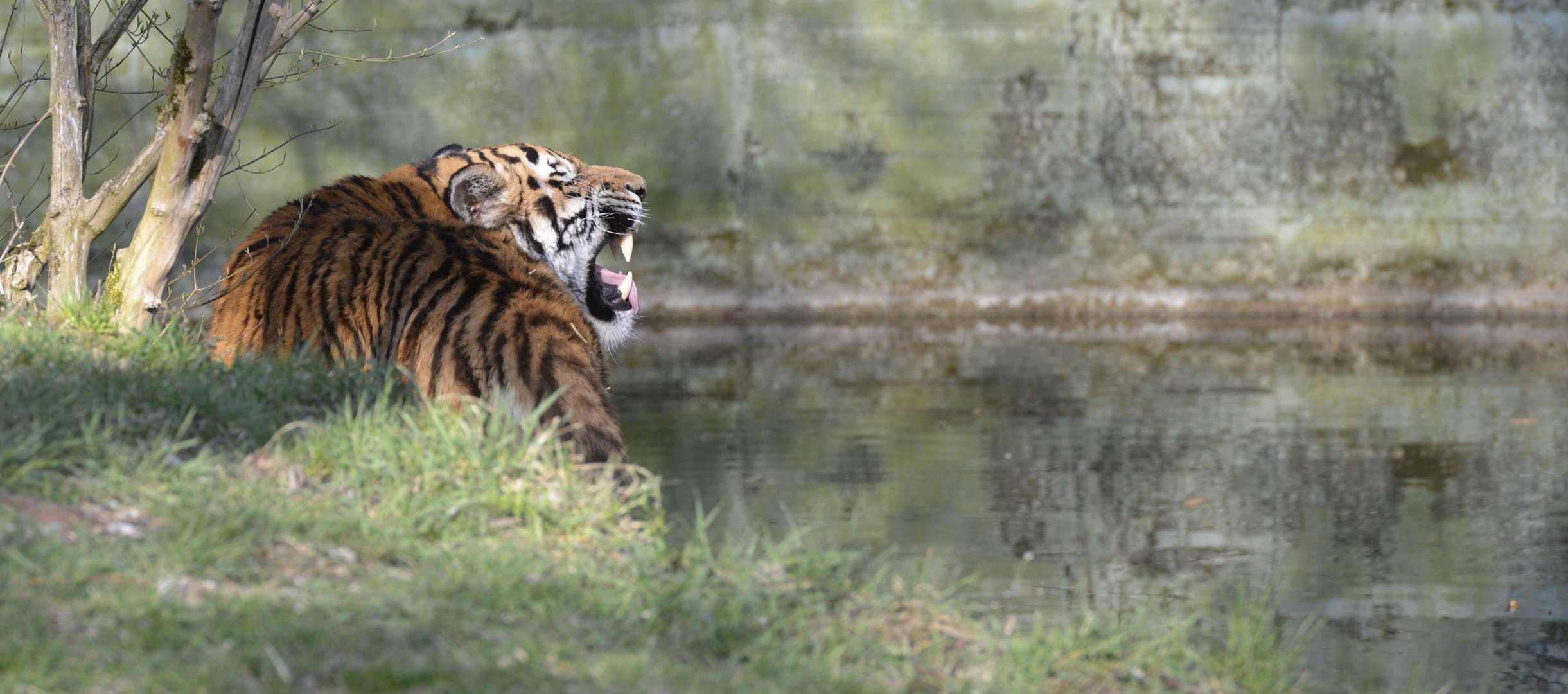 Im Tierpark