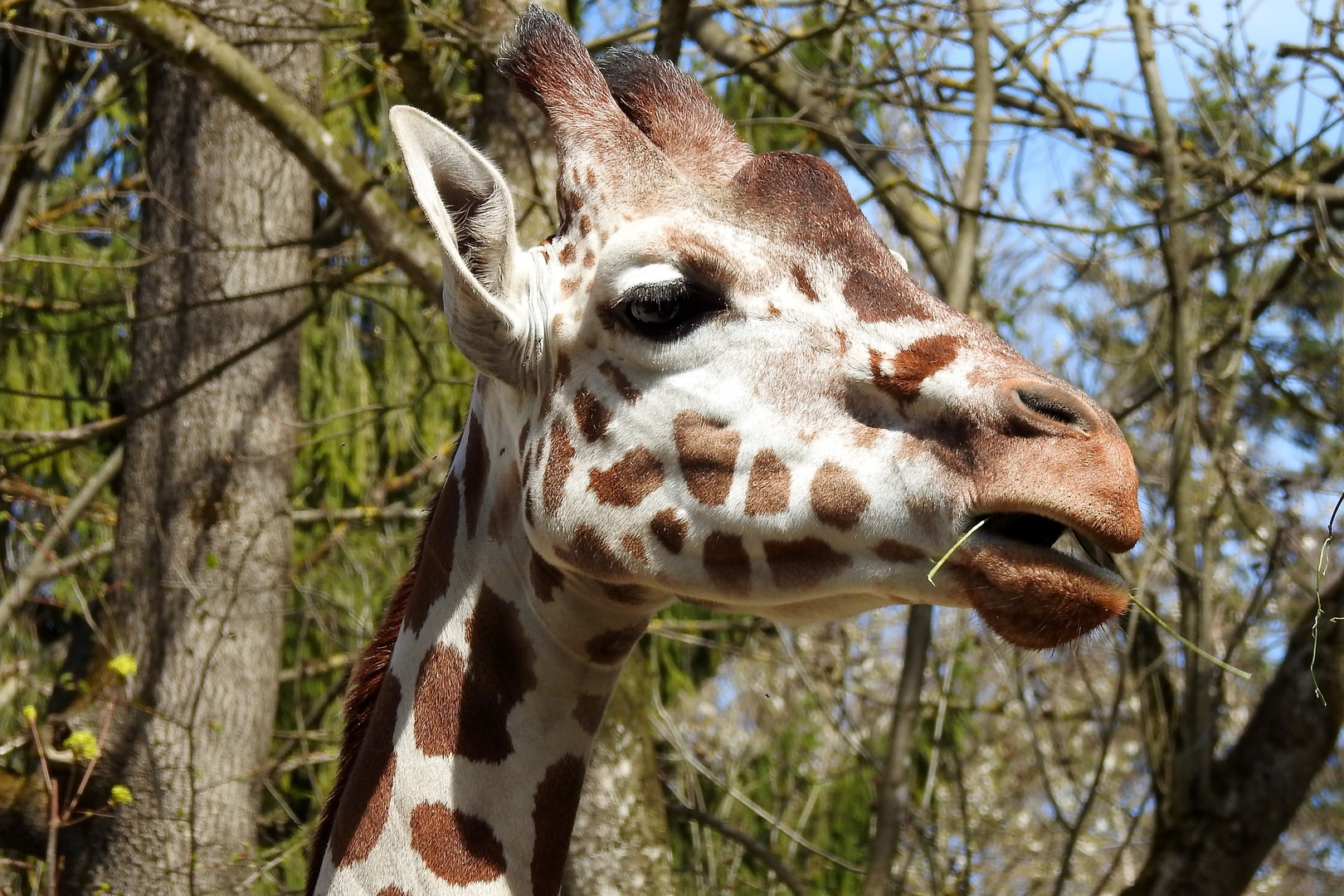 im Tierpark