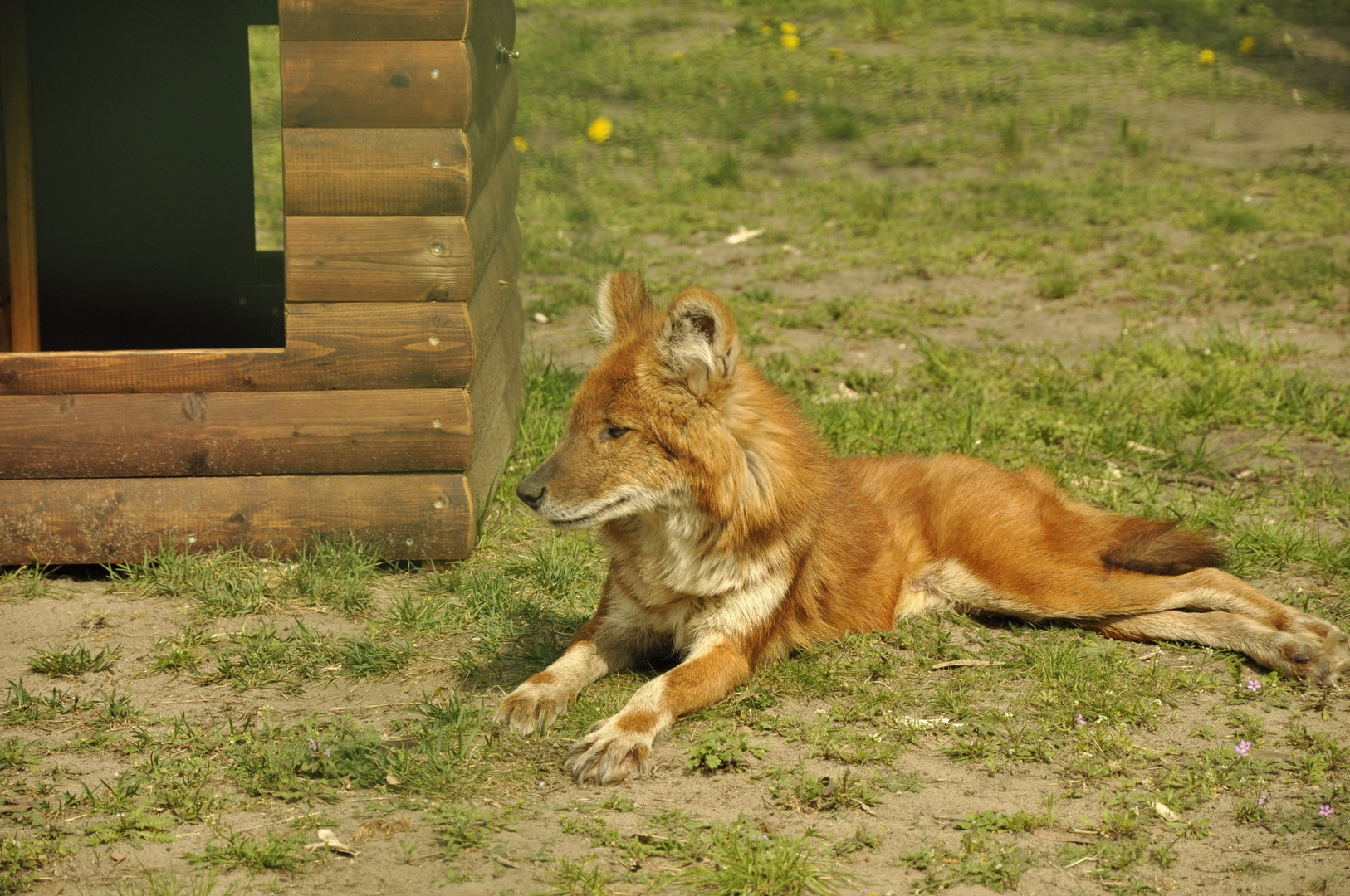 im Tierpark