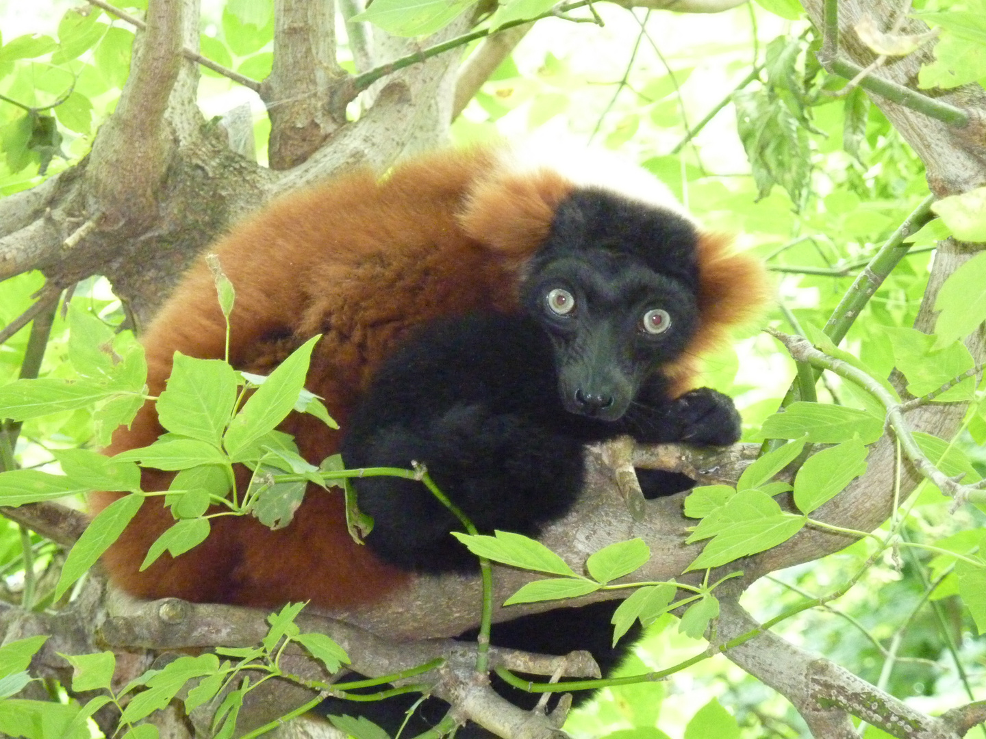 Im Tierpark Berlin