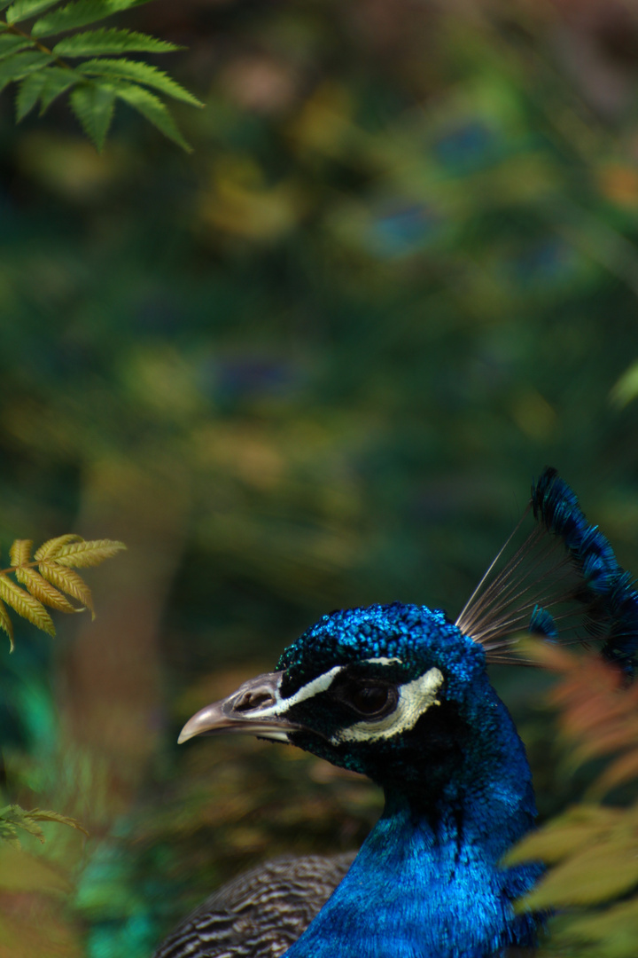 Im Tierpark Berlin