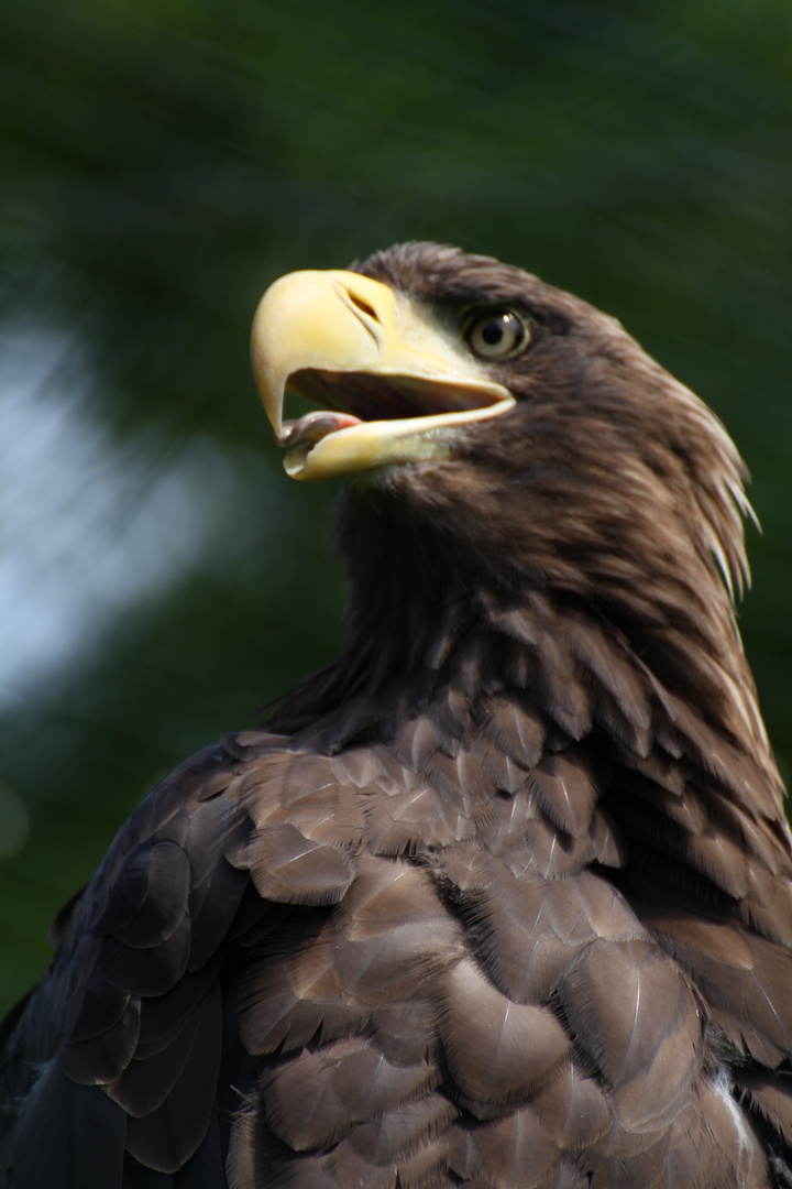 Im Tierpark Berlin II