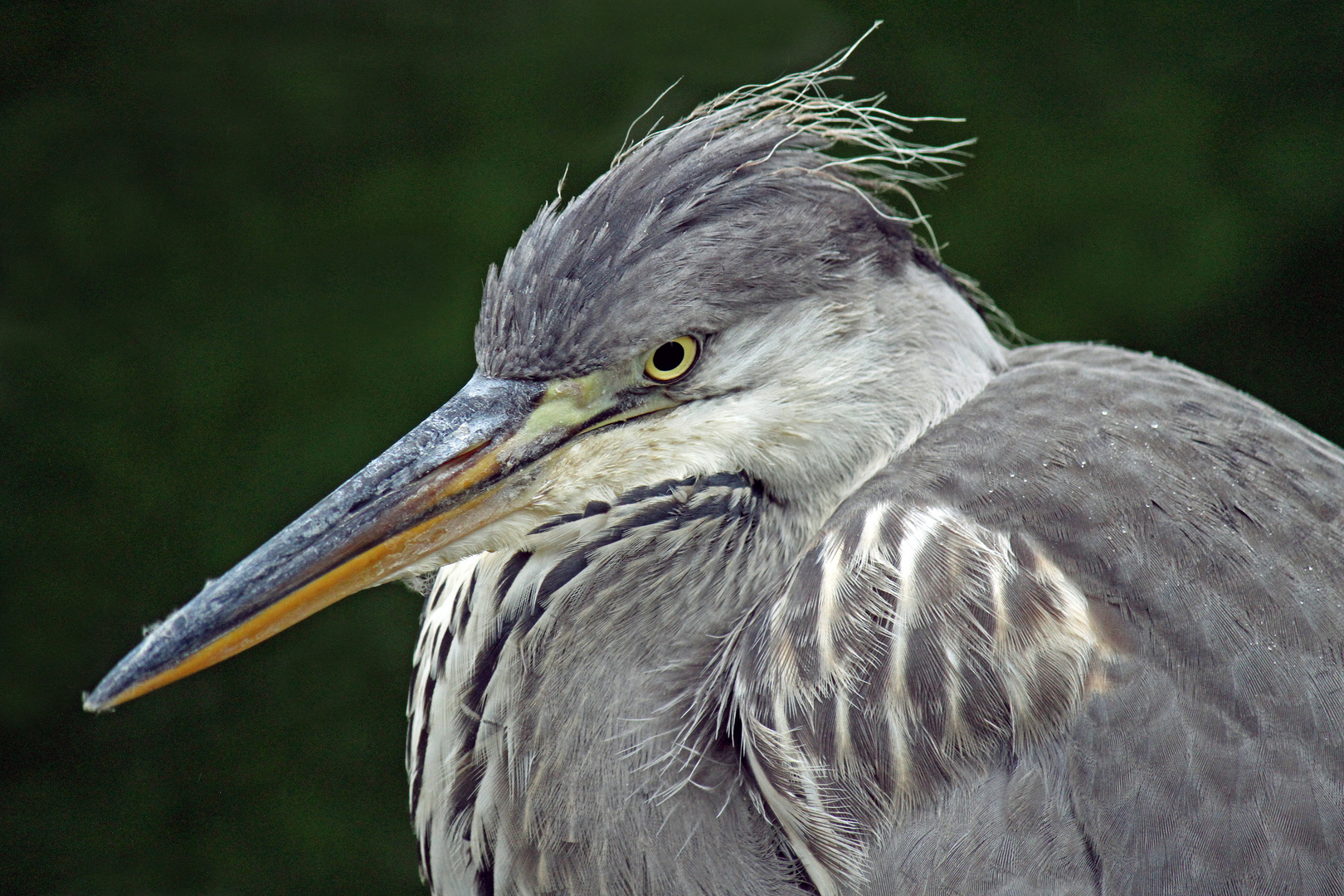 Im Tierpark