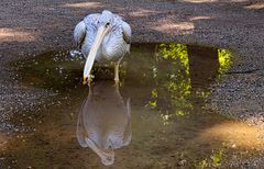 Im Tierpark